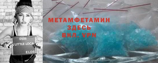 прущие грибы Сосновоборск