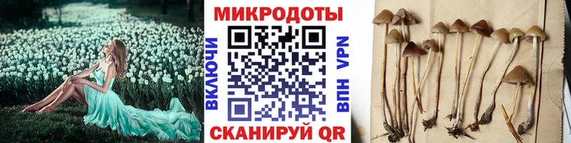 Псилоцибиновые грибы прущие грибы  Исилькуль 